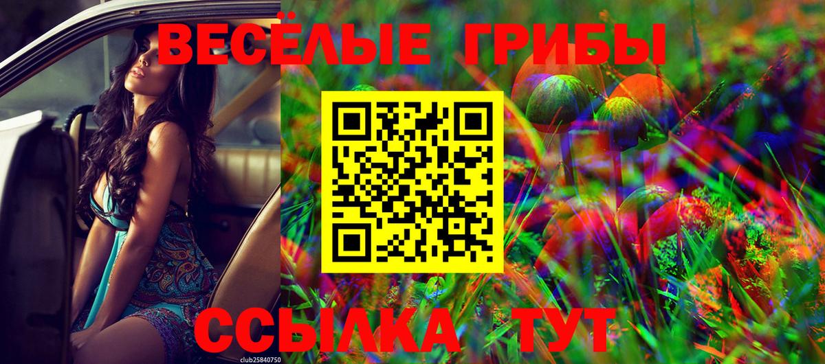 Псилоцибиновые грибы Psilocybine cubensis  Псилоцибиновые грибы Psilocybine cubensis  даркнет сайт  Вход с VPN  Кстово 