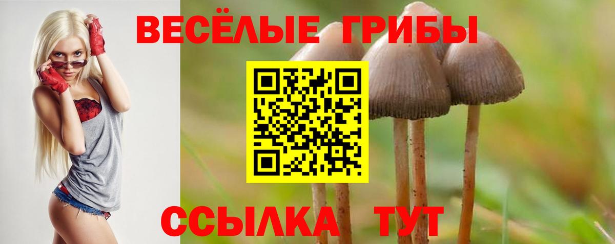 Галлюциногенные грибы Magic Shrooms Кстово